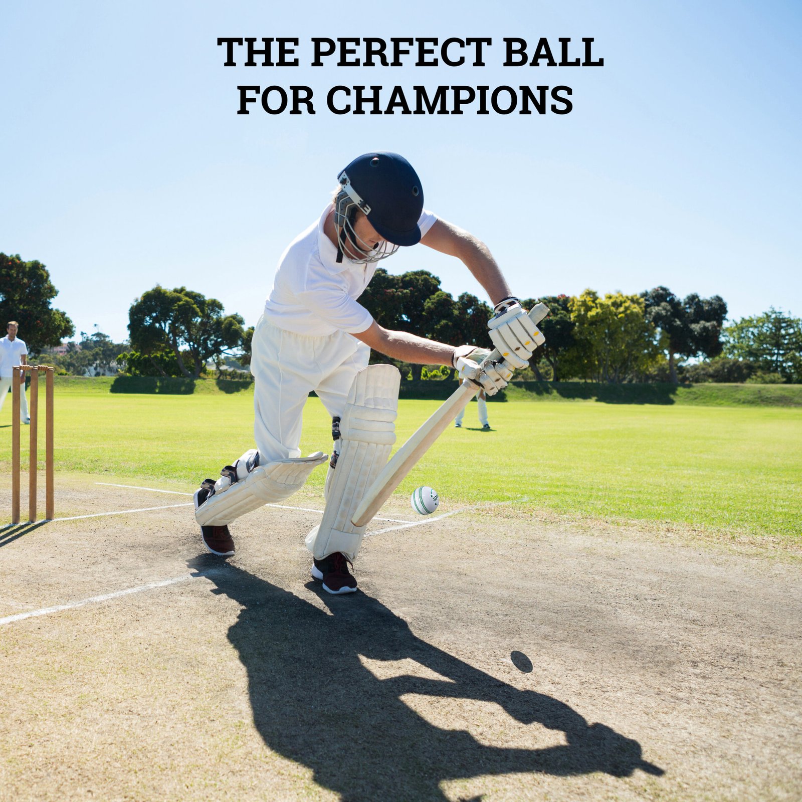 Sports product 